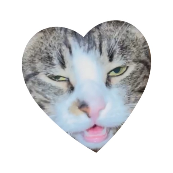 polinky